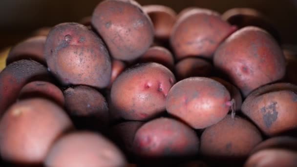 Ongeschilde Rode Aardappelen Sluiten Opslag Van Voedsel Magazijnen Hoge Kwaliteit — Stockvideo