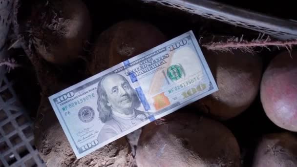 One Hundred Dollar Bill Lies Container Red Beets Close High — Stock Video
