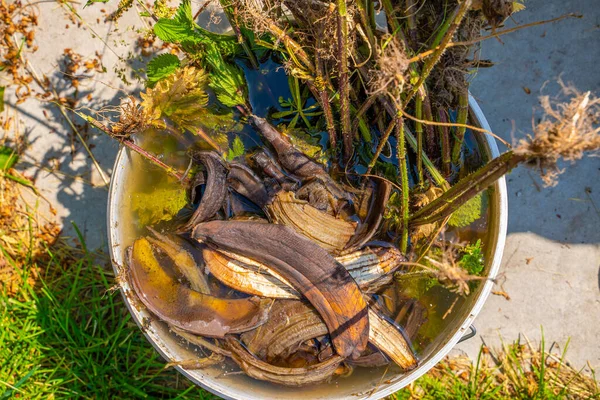 バナナの皮と植物の受精のためのイラクサのチンキ 庭に水をやるための自家製ドレッシング — ストック写真