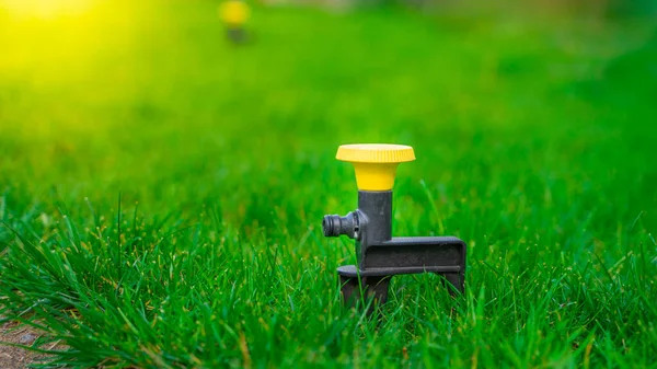 Żółty Okrągły Uniwersalny Zraszacz Ustawiony Zielonej Trawie Zadbany Trawnik Lecie — Zdjęcie stockowe