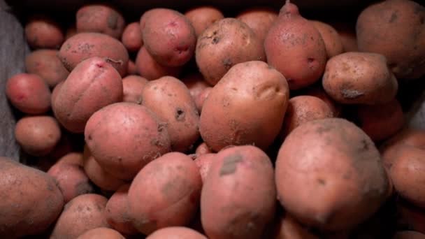 Close Van Een Gladde Camera Een Krat Rode Aardappelen Donkere — Stockvideo