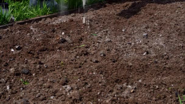 Neutralização Acidez Solo Com Farinha Dolomita Preparando Jardim Para Plantio — Vídeo de Stock
