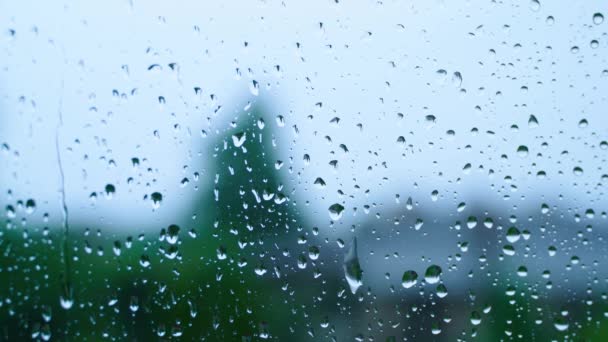 Σταγόνες Βροχής Ρέουν Στο Ποτήρι Από Κοντά Βροχερό Φόντο Φθινόπωρο — Αρχείο Βίντεο