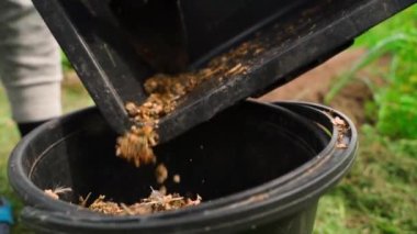 Talaşlı kuş dışkıları plastik kovaya atılır, yakın plan. Yüksek kaliteli FullHD görüntüler