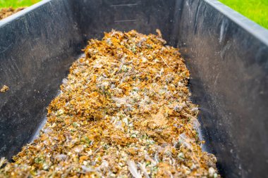 Talaşlı bıldırcın gübresiyle plastik konteynır. Yakın plan. Kurutulmuş kuş gübresi.