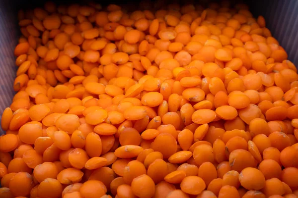 Oranžová Čočka Nádobce Jídlo Zdravé Obiloviny Vysokým Obsahem Bílkovin — Stock fotografie
