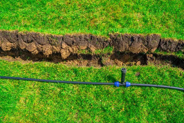 Çimlere yakın plan fıskiyeler yerleştiriyorum. Çim Sulama Entegrasyonu