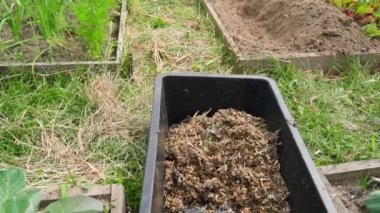 Güneşli bir yaz gününde, kuş pisliği ve talaş dolu siyah plastik bir kap bahçe yataklarının arasında duruyor. Bahçeyi kuş kakasıyla gübrelemek. Yüksek kaliteli FullHD görüntüler