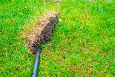 Siyah şüpheli bir boru yeşil çimlerin altındaki toprağa girer. Endüstriyel atıkların çimlerin altındaki toprağa atılması. Verimli toprağı atıkla zehirlemek