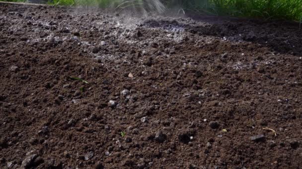 Förbereder Trädgårdsjord För Plantering Blandar Mörk Jord Med Vitt Pulver — Stockvideo