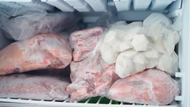 Găluște Casă Carne Pungi Transparente Compartimentul Congelator Frigiderului Aproape Stocurile — Videoclip de stoc