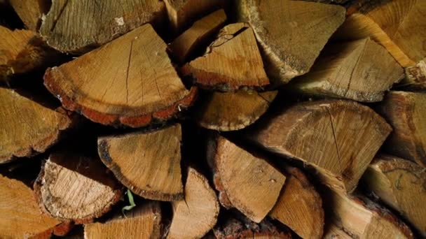 Porąbane Drewno Dębowe Zbliżenie Płynny Ruch Kamery Tło Drewna Opałowego — Wideo stockowe