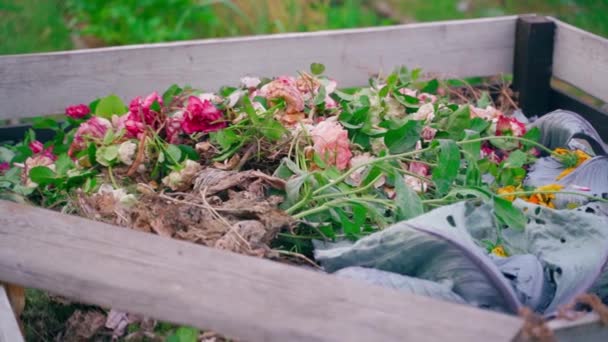 Rózsák Metszéséből Származó Maradványok Egy Komposzthalmon Rózsa Felsők Levágása Után — Stock videók