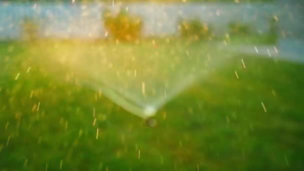 落水以慢动作在日落的背景下飘扬 夏夜浇灌草坪的背景模糊不清 优质Fullhd影片 — 图库视频影像
