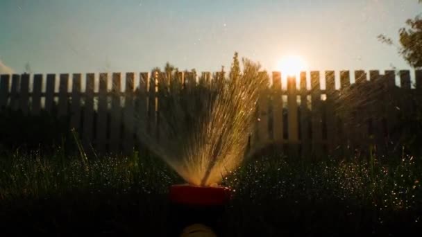 夜の太陽を背景に プライベートな財産に芝生を水にかけます ユニバーサルスプリンクラーは草の上に水を吹き飛ばします 高品質のフルHd映像 — ストック動画