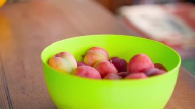 Kırmızı erikler parlak tabaklarda masanın üstünde, yakın plan. Olgun ev yapımı erikli yeşil bir tabağın etrafında pürüzsüz bir parallaks. Yüksek kaliteli FullHD görüntüler