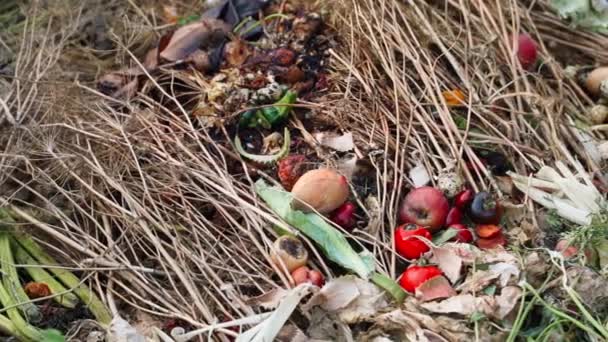Trockene Pflanzenteile Und Lebensmittelabfälle Beim Kompostieren Aus Nächster Nähe Hochwertiges — Stockvideo