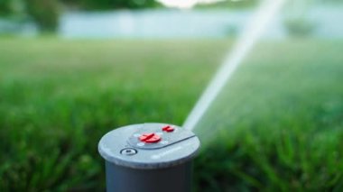 Kyiv, Ukrayna - 4 Ağustos 2023: Gardena t380 açılır fıskiye suları akşamları yeşil çimenler, yakın plan. Yazın kaliteli çim sulama sistemi. Yüksek kalite 4k görüntü