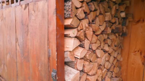 Mała Drewniana Szopa Drewno Opałowe Jest Całkowicie Wypełniona Dębowym Drewnem — Wideo stockowe