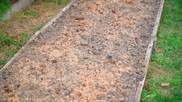 Garden Bed Harvesting Sprinkled Bird Droppings Sawdust Prepared Winter Smooth — Stock Video