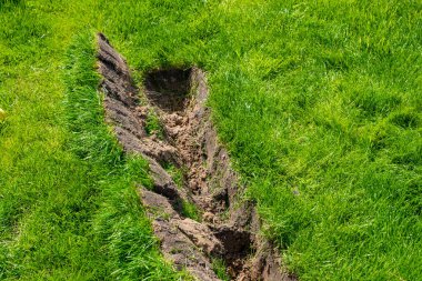 Yazın bitmiş çimenlikte sulama sisteminin düzgün yerleştirilmesi