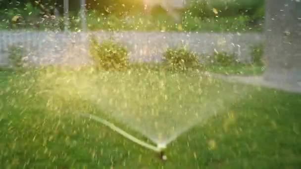 Flygande Droppar När Vattnar Gräset Slow Motion Mot Bakgrund Solnedgången — Stockvideo