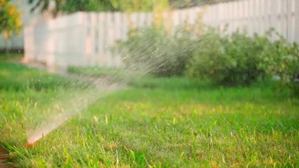 Spraying Lawn Evening Slow Motion Watering Plants Private Area High — Stock Video