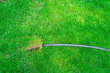 Siyah şüpheli bir boru yeşil çimlerin altındaki toprağa girer. Endüstriyel atıkların çimlerin altındaki toprağa atılması. Verimli toprağı atıkla zehirlemek