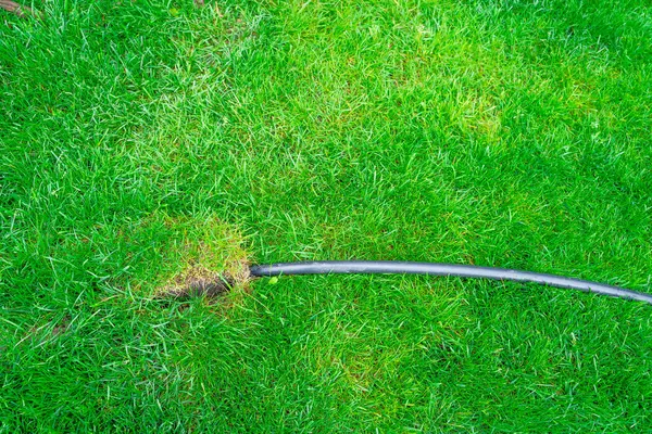 A black suspicious pipe enters the soil under the green grass. Disposal of industrial waste into the soil under the lawn. Poisoning fertile soil with waste