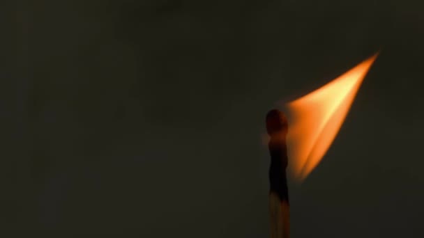 Płonący Mecz Ciemnościach Palce Obracają Się Płonącym Drewnianym Zapałką Wysokiej — Wideo stockowe