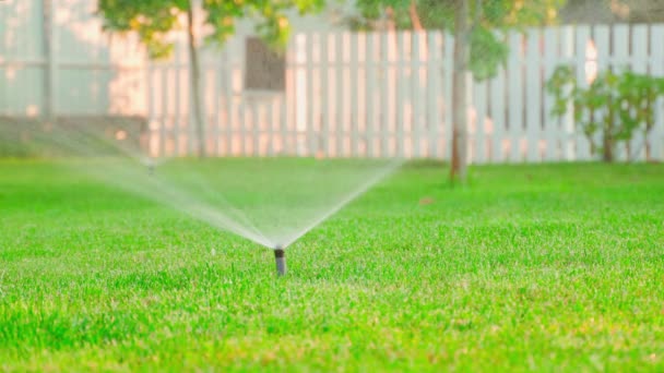 Bewässerungsregner Werden Ausgeschaltet Und Ausfahrbare Sprinkler Boden Unter Dem Rasenrasen — Stockvideo