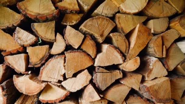 Drewno Dębowe Siekane Szopie Zimę Zbliżenie Tło Drewna Opałowego Ogrzewania — Wideo stockowe