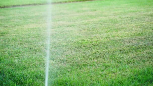 傍晚时分 一架喷气式洒水机喷洒在绿色的草坪上 给割下来的草浇水高质量的4K镜头 — 图库视频影像