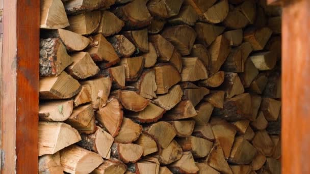 Magazyn Drewna Opałowego Pobliżu Prywatnego Domu Jest Całkowicie Wypełniony Dębowym — Wideo stockowe