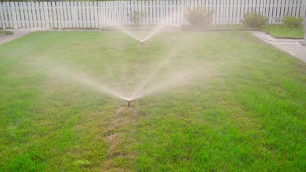 Newly Installed Automatic Sprinkler Waters Lawn Summer Grass Irrigation System — Stock Video