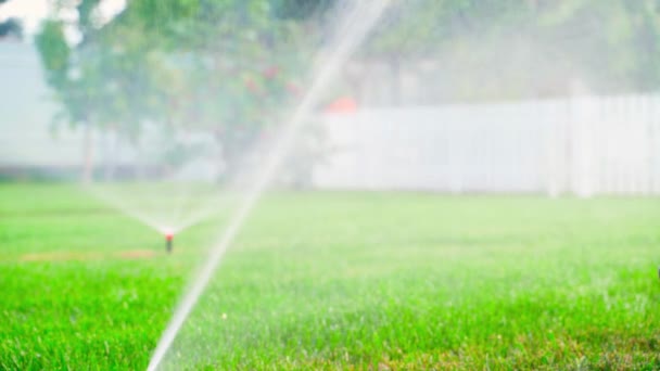 Aktive Bewässerung Eines Grünen Rasens Mit Sprinklern Verschwommener Hintergrund Hochwertiges — Stockvideo