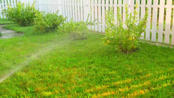 傍晚时分关掉花园里的浇水 自动浇灌草坪和乡间地产上的灌木丛 高质量的4K镜头 — 图库视频影像