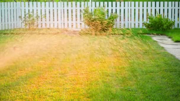 在浇水的时候 阳光从落日照在绿色的草坪上 优质Fullhd影片 — 图库视频影像