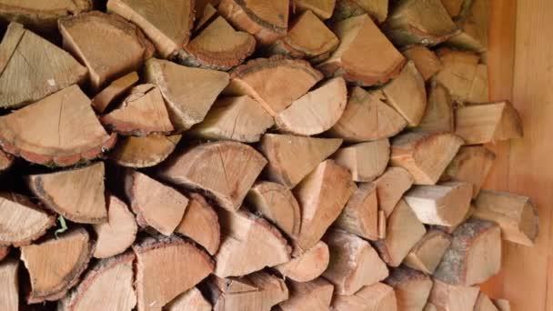 Drewno Dębowe Przygotowane Zimę Ułożone Suchym Miejscu Wysokiej Jakości Materiał — Wideo stockowe