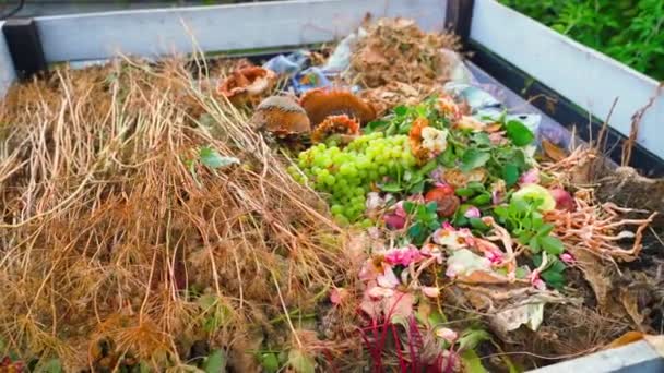 Krásná Dřevěná Kompost Hromada Různými Organickými Odpady Kompostování Jídla Zahradního — Stock video