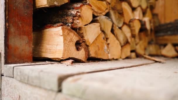 Drewniana Szopa Jest Wypełniona Drewnem Góry Dołu Bliska Gotowość Ostry — Wideo stockowe