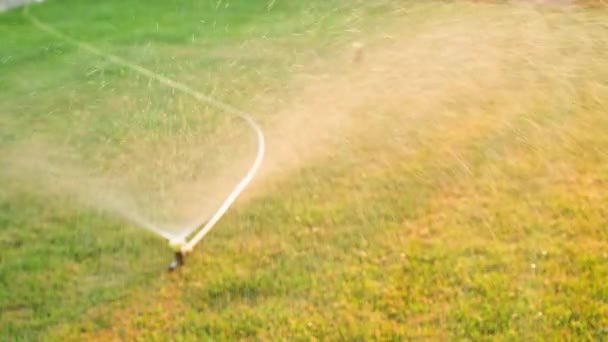 洒水软管连接到洒水器的软管 用于浇灌草坪夏天的草坪护理 高质量的4K镜头 — 图库视频影像