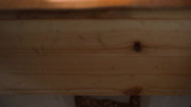 Tavuk yumurtalı yumurta koleksiyoncusu, yakın plan. Bir el yumurta toplayıcısını açar ve eve taze yumurta toplar. Yüksek kalite 4k görüntü