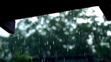 Şiddetli yağmur ve rüzgâr sırasında damlaların damlaları damlaların damlaları yavaş yavaş düşer. Arka plan bulanıklaşır. Yüksek kaliteli FullHD görüntüler