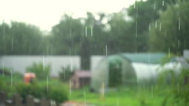 Arka planda bulanıklık, kırsal bölgede sağanak yağmur. Yüksek kalite 4k görüntü