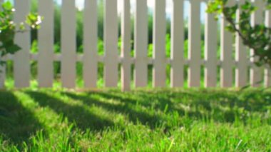 Yeşil biçilmiş çimlerin üzerinde düzgün bir kamera hareketi. Gün batımında çimlerin üzerindeki çitin gölgesi. Yüksek kaliteli FullHD görüntüler