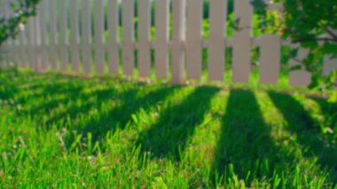 Dinamik arkaplan, çitten gelen güneş ışınları ve gölgeli yeşil çimenler, yakın plan. Sıcak, sakin bir yaz akşamı. Yüksek kaliteli FullHD görüntüler