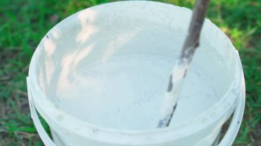 Sopa, beyaz bir kovaya beyaz sıvıyı karıştırmak için kullanılır. Ağaçları beyazlatmadan önce, yakın plan. Yüksek kalite 4k görüntü