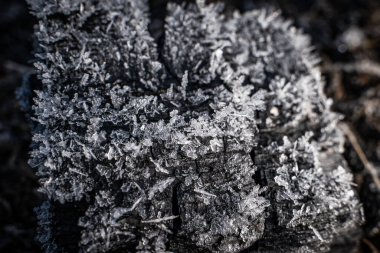 Ash and unburned coals from a fireplace close-up in ice crystals clipart