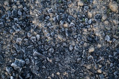 Kışın sebze bahçesinde şömine külleri ve talaş, sebze bahçesini kendi kendine gübreler..